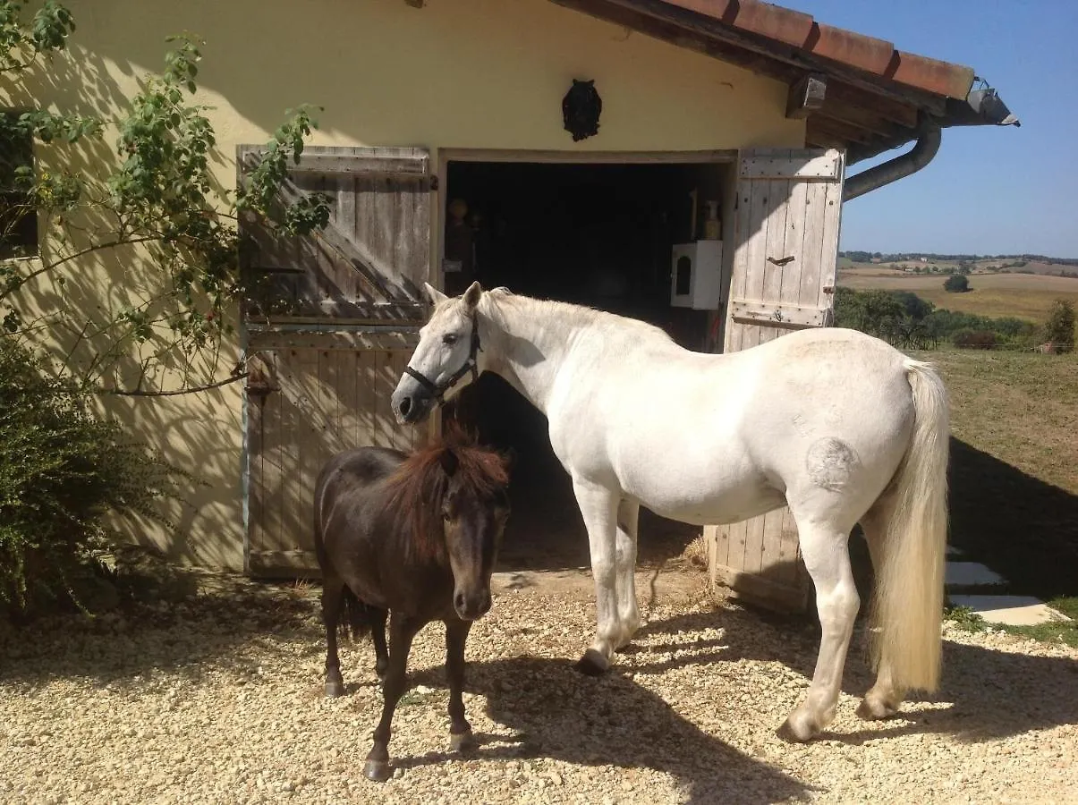La Raillere Bed & Breakfast Jegun
